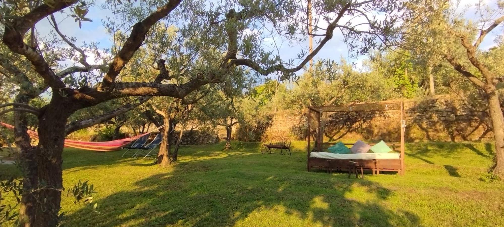 Bed and Breakfast La Casa Tra Gli Ulivi Кортона Экстерьер фото